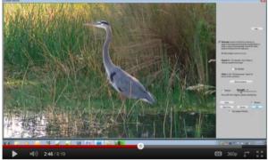 Magic of OneClick Video Tutorial