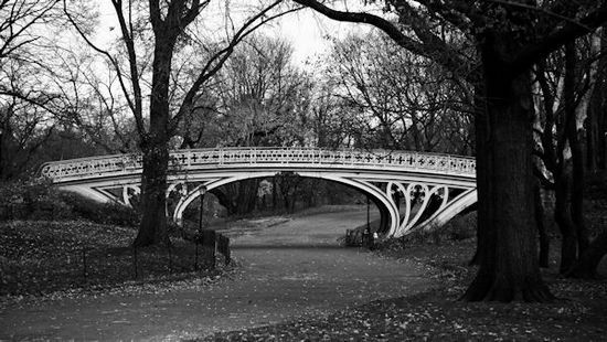 Central Park Bridge 3
