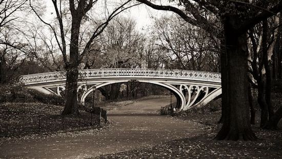 Central Park Bridge 4