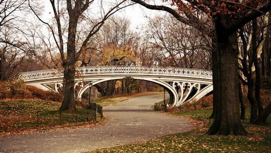 Central Park Bridge 2