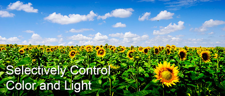 editlab-sample-03.jpg