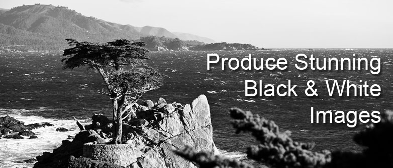 editlab-sample-06.jpg