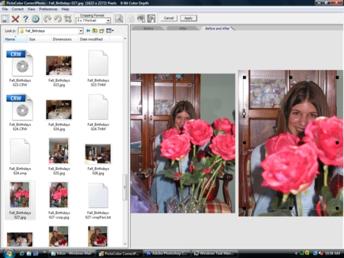 CorrectPhoto Cropping